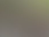 youth adventure park 