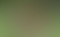 concept design of playspace 