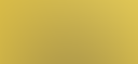 A dog sits in front of a yellow background