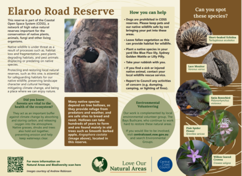 Figure 4. Interpretive sign at Elaroo Road Reserve, Phegans Bay. Figure 4. Interpretive sign at Elaroo Road Reserve, Phegans Bay.